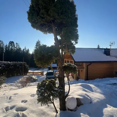 Swierkowa Oaza Holiday home *