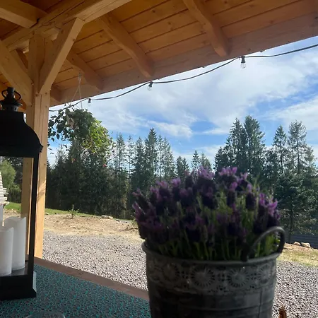 Swierkowa Oaza Holiday home *