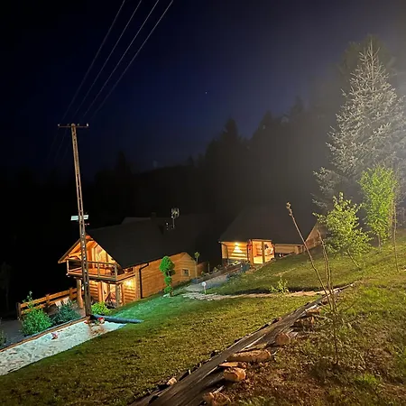 Swierkowa Oaza