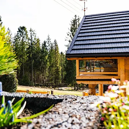 Swierkowa Oaza